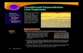 Parallel and Perpendicular Line Segments - · PDF fileParallel and Perpendicular Line Segments Focus on After this lesson, you will be able to Æ draw line segments that are parallel