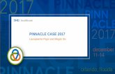 PINNACLE CASE 2017 -   · PDF filePINNACLE SPEAKER PROFILE. LAURAJEANNE FLIGOR • Manager • DHG Healthcare • Cleveland, Ohio