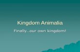 Kingdom Animalia - battylifescience.weebly.combattylifescience.weebly.com/uploads/5/2/3/4/5234183/kingdom_anima… · Kingdom Animalia Finally…our own kingdom! What is an animal?
