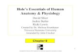 Hole’s Essentials of Human Anatomy & Physiologyhhh.gavilan.edu/jcrocker/documents/Ch09nobackgroundpdf.pdf · ... What is a reflex arc? ... Inc. Permission required for reproduction
