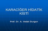 Prof. Dr. A. Vedat Durgun -  · PDF filekistektomi ( kavite için drenaj,omentoplasti ya da introfleksiyon )