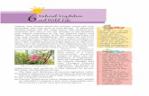 6Natural Vegetation and Wild Life - Prashanth Ellinancertbooks.prashanthellina.com/class_7.SocialScience.OurEnvironment... · NATURAL VEGETATION AND WILD LIFE 41 Tropical Deciduous