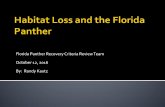 Florida Panther Recovery Criteria Review Team · PDF fileFlorida Panther Recovery Criteria Review Team . ... 0.2 - Estimates of Florida ... That loss habitat could reduce the carrying