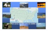 Refuge Management   - IBWC · PDF file150 million acres and 553 national wildlife refuges . ... • Wildlife-Photography •Fishing ... Refuge Management_  [Compatibility Mode]
