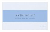 Meningitis Powerpoint 2009 - Warren  · PDF fileMeningitis diagnosed? Early diagnosis is very important ... or patient of meningitis. ... Meningitis Powerpoint 2009