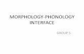 MORPHOLOGY-PHONOLOGY INTERFACE - · PDF fileINTERFACE • This notion refers to the ways in which properties of one kind of structure(morphological or phonological) relate to those