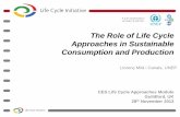 The Role of Life Cycle Approaches in Sustainable ... · PDF fileThe Role of Life Cycle Approaches in Sustainable Consumption and Production CES Life Cycle Approaches ... Unilever carried