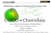 Modelling Luyben's Chemical Processes with · PDF fileModelling Luyben's Chemical Processes with Ross Taylor, Harry Kooijman and Brett Walker Clarkson University, Potsdam, New York