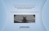 Scrotal Ultrasound · PDF fileReferences 1. Appelbaum L, Gaitini D, Dogra VS. Scrotal ultrasound in adults. Semin Ultrasound CT MR. 2013; 34(3):257–273. 2. Mirochnik B, Bhargava