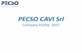 PECSO CAVI Srl Cavi Srl : Ownership & Location ... Artic (low temperatures) 13 ECO PECSO Line (halogen-free) AQUA Line Special cables - Automotive FLY11Y, FLR11Y, EBS, ABS «HYTREL»-patented