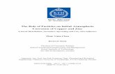 The Role of Particles on Initial Atmospheric …11740/FULLTEXT01.pdfThe Role of Particles on Initial Atmospheric Corrosion of Copper ... and reaction products on copper and zinc ...