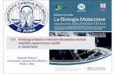 Daniele Santini University Campus Bio-Medico Rome, …documenti.fullday.com/public/Biologia/Presentazioni/6_9...Horizontal axis in blue indicates range of time since randomization