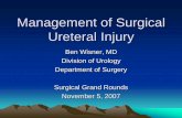 Management of Ureteral Injury - Denver, · PDF file– Abdominal-perineal colon resection 0.3% - 5.7% ... Anatomy Upper Mid Lower ... • Avoidance of blind ligation during bleeding