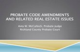 Probate Code Amendments and Related Real Estate Issues Code... · PROBATE CODE AMENDMENTS AND RELATED REAL ESTATE ISSUES ... quiet title, and other actions pending in circuit ...