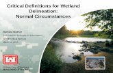 Critical Definitions for Wetland Delineation: Normal Circumstancesdnr.wi.gov/.../NormalCircumstances2015.pdf ·  · 2015-03-242015-03-03 · US Army Corps of Engineers BUILDING STRONG