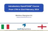 Introductory OpenFOAM From 17th to 21st February, 2014 ... · PDF fileMatteo Bargiacchi bargiacchi@ ... the producer of the OpenFOAM software and owner of the OPENFOAM® and OpenCFD®