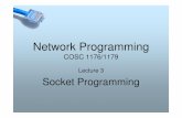 Network Programming - RMIT Universitytitan.csit.rmit.edu.au/~e51577/NetProg/Lect/NetProg-3-Sockets.pdf · Important Socket Classes in Java ... (InetAddress addr, int port) InetAddress