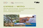 CITES and the WTO: Enhancing Cooperation for Sustainable Development · PDF file · 2015-06-22CITES works by subjecting international trade in ... International Trade in Endangered