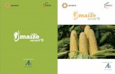 Maize Report 7Apr Final - Industry's voice for Policy Changeficci.in/events/22310/ISP/Background-paper-India-maize-Summit.pdf · Today India is one of the top maize exporters to South