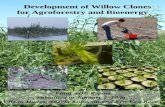 Development of Willow Clones for Agroforestry and · PDF fileDevelopment of Willow Clones for Agroforestry and Bioenergy . Development of Willow Clones for Agroforestry and ... Centre