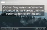Carbon Sequestration Valuation of United States Forests ... · PDF fileCarbon Sequestration Valuation of United States Forests and the Potential for Policy Impacts ... Afforestation