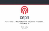 BLUESTORE: A NEW STORAGE BACKEND FOR CEPH – · PDF filePartition namespace for different metadata ... Bluestore (wip-bluestore-dw) IO Size T h r o u g h p u t (M B / s) 4 8 1 6 3