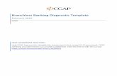 CGAP Branchless Banking Diagnostic · PDF fileBranchless Banking Diagnostic Template ... (or other similar stored-value instruments), ... CGAP Branchless Banking Diagnostic Template