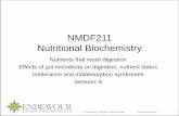 NMDF211 Nutritional Biochemistry · PDF fileNMDF211 Nutritional Biochemistry ... raw potato, high amylose corn, ... • fibre rich foods have lower energy density and higher volume