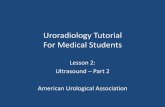 Uroradiology Tutorial For Medical Studentsauanet.org/Documents/education/Ultrasound-2.pdfUroradiology Tutorial For Medical Students ... •Youve completed the ultrasound tutorial.