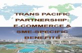 TPP e-Commerce and SME-Specific Provisions - …acccimserc.com/file/file/TPPA Booklet 5 - SMEs and E-commerce.pdfTPP e-Commerce and SME-Specific Provisions ... B2C Ecommerce sales