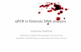 qPCR in forensic DNA analysis - SLU · PDF fileqPCR in forensic DNA analysis Johannes Hedman Researcher, AppliedMicrobiology, Lund University Specialist, Swedish National Laboratoryof
