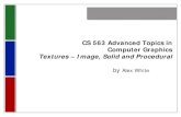 Textures – Image, Solid and Procedural - WPIweb.cs.wpi.edu/.../cs563/S07/talks/solid_proctextures_wk9_p1.pdf · CS 563 Advanced Topics in Computer Graphics Textures – Image, Solid