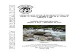 CHINOOK AND STEELHEAD GENOTYPING FOR GENETIC STOCK ... · PDF filechinook and steelhead genotyping for genetic stock identification at ... for genetic stock identification at lower