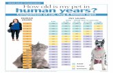Comparison of cat, dog & human ages - dvm360.comfiles.dvm360.com/alfresco_images/DVM360/2015/12/07/ca3503fa-68e1...> If you can’t feel the ribs at all, your pet may likely be obese.