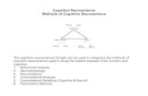 3 Methods of Cognitive Neuroscience - Complex …bressler/EDU/CogNeuro/topic3.pdfCognitive Neuroscience Methods of Cognitive Neuroscience The cognitive neuroscience triangle can be