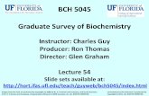 BCH 5045 Graduate Survey of Biochemistryhort.ifas.ufl.edu/faculty/guy/bch5045/Lecture Files/Lecture 54.pdf · FIGURE 19-51 Two ways to determine the action spectrum for photosynthesis.