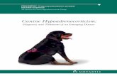 The Standard In Canine Hypoadrenocorticism Therapycanineaddisonsinfo.com/PercortenTechnicalManual.pdf · The Standard In Canine Hypoadrenocorticism Therapy. ... Section 2 • An Addisonian