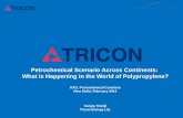 Petrochemical Scenario Across Continents: What is ... · PDF filePetrochemical Scenario Across Continents: What is Happening in the World of Polypropylene? ... aggressively pursuing