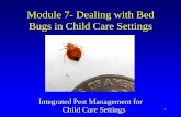 Module 7- Dealing with Bed Bugs in Child Care Settings 7- Dealing with Bed Bugs in Child Care Settings Integrated Pest Management for Child Care Settings 1