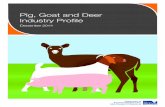 agriculture.vic.gov.auagriculture.vic.gov.au/__data/assets/word_doc/0017/... · Web viewVictoria's Pig, Goat and Deer Industry December 2014 Key points This Industry Profile provides