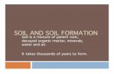 SOIL AND SOIL FORMATION - LACOE Moodle Sitesmoodle.lacoe.edu/.../28094/mod_resource/content/1/soilhorizon.pdf · SOIL AND SOIL FORMATION Soil is a mixture of parent rock, decayed