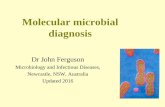 Molecular microbial diagnosis -   · PDF fileGenotypic identification of bacteria/fungi for ... Polymerase chain reaction (PCR) 3. ... • Breaking open the cell/ nucleus
