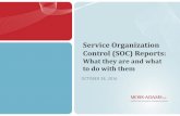 Service Organization Control (SOC) · PDF fileOVERVIEW Historical with SAS ... or supports transaction processing systems ... Required focus •Internal control over financial reporting