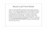Blood Lab First Week - Michigan Medicine files... · Blood Lab First Week This is a self propelled powerpoint study atlas of blood cells encountered in examination of the peripheral