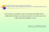 VIETNAM LEATHER AND FOOTWEAR INDUSTRY - …siteresources.worldbank.org/INTRANETTRADE/Resources/WBI-Training/...VIETNAM LEATHER AND FOOTWEAR INDUSTRY – OPPORTUNITIES & CHALLENGES