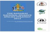 The Bahamas National invasive species Strategy 2013 · PDF fileTHE BAHAMAS NATIONAL INVASIVE SPECIES STRATEGY 2013 An output of the project - Mitigating the Threats of Invasive Alien