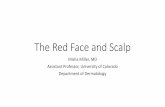 The Red Face and Scalp - sdpaconferences.orgsdpaconferences.org/fall2015/wp-content/uploads/sites/2/2015/09/...The Red Face and Scalp Misha Miller, MD ... Seborrheic Dermatitis Hair