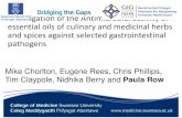 Investigation of the Antimicrobial activity of essential ... of the... · Investigation of the Antimicrobial activity of essential oils of culinary and medicinal herbs and spices