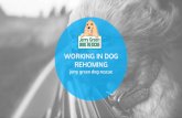 WORKING IN DOG REHOMING jerry green dog · PDF fileHOW WE WORK Our Dogs We take dogs from a variety of sources from homes that are unable to look after their dogs anymore to strays.