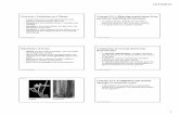 13 Lecture Presentation - Effingham County Schools / · PDF file · 2014-02-26Comparison of Asexual and Sexual Reproduction • In asexual reproduction, ... Most fungi and some protists
